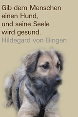 dogs_webzitate_hvbingen_klein.jpg
